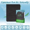 Breathe Naturally Replacement Carbon Prefilter (2 Pack) for Winix C535,