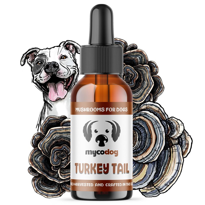 MycoDog Turkey Tail Mushroom Supplement for Dogs - Immune &