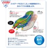 Sorbo DSIS Sorbo Soccer Junior M P6JYA80122JM Royal Blue JM