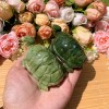Natural Green Jade Turtle Crystal Carving Healing Gemstone Sculpture 8cm