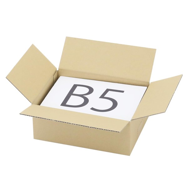 Earth Cardboard, 60 Size, B5, Set of 5, 10.6 x