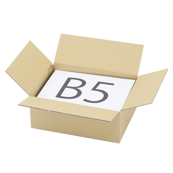 Earth Cardboard, 60 Size, B5, Set of 5, 10.6 x 7.9 x 3.9 inches (270 x 200 x 100 mm), Cardboard, 60, Small, ID0407