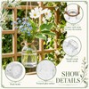 Romooa 6 Pcs Hanging Planters Glass Vases Transparent Glass Terrariums