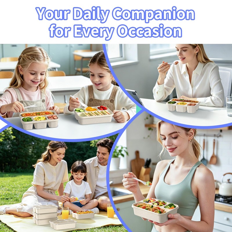 Bento Box 5-Pack, 4-Compartment Lunch Box for Women, Men &