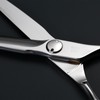 AOLANDUO VG10 Steel Pro Barber and Stylist Hair Cutting Scissors,