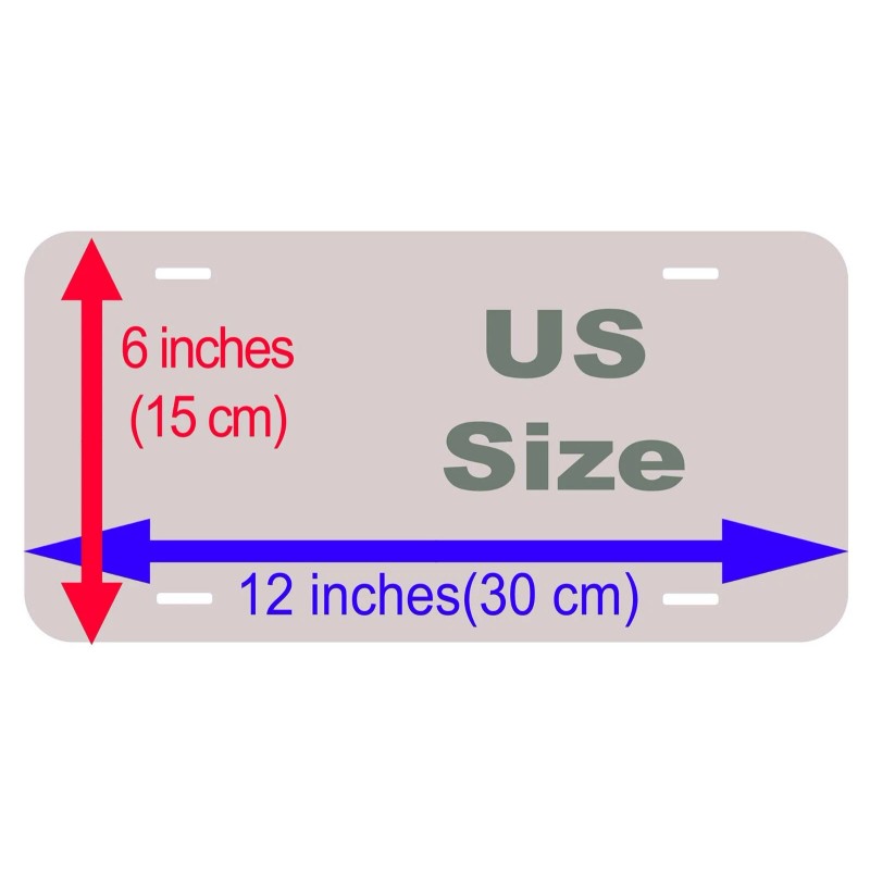 Venice Italy Novelty Car License Plate