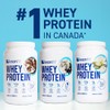 LeanFit WHEY PROTEIN Cookies & Cream - 100% Whey Protein