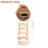 Gecko Coconut Husk Hut, Natural Coconut Shell Bird Nest with
