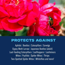 BioAdvanced 3-in-1 Insect and Mite Plant Bug Spray, Pest Control Ready-to-Spray 32 oz, Disease Control