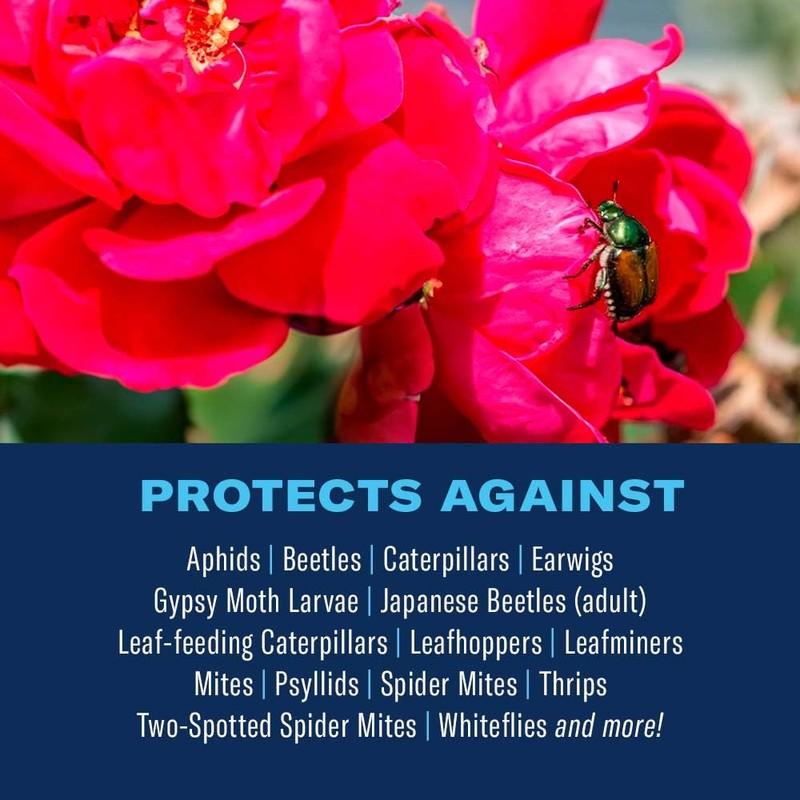 BioAdvanced 3-in-1 Insect and Mite Plant Bug Spray, Pest Control