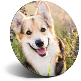 Destination Vinyl ltd Magnet for Refrigerator, Fridge - Cute Corgi Dog Pet Animal for Office, Cabinet and Whiteboard, Magnetic Stickers, 14297