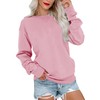 Bingerlily Womens Casual Long Sleeve Sweatshirt Crew Neck Cute Pullover
