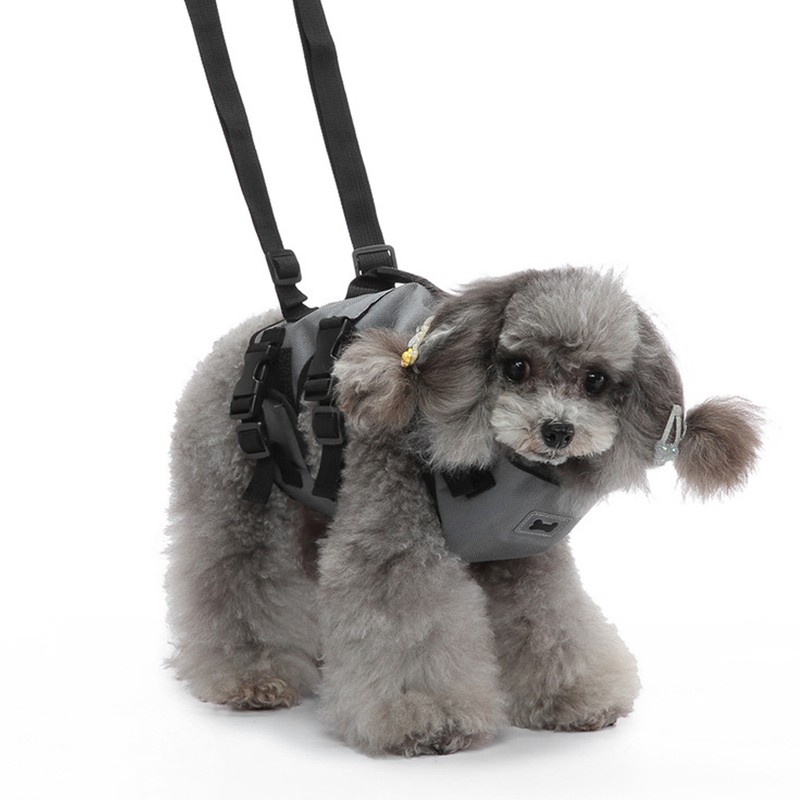 Cat Vest Harnesses Leash Adjustable Breathable Stylish Multifunctional Pet Walking