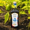 Bono Sicilian Extra Virgin Olive Oil PDO Quality 16.9 Fl
