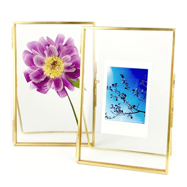 Beedecor Double Glass Frame for Pressed Flowers, Polaroid photos and