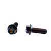 RISON-Titanium Hex Screws with Flange M8 x 1.25 x 25