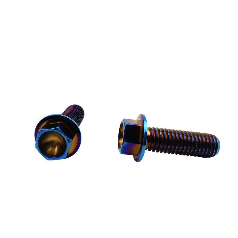 RISON-Titanium Hex Screws with Flange M8 x 1.25 x 25