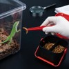 Mealworms Breeding Box Feeding Kit to Breed Live Worms for