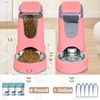 Automatic Cat Feeder and Water Dispenser with Stainless Steel Bowl