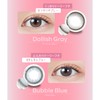 【メーカー公式店舗】 [ 宮脇咲良プロデュース＆イメージモデルカラコン ] MOLAK (モラク) ワンデー 10枚入り ダズルグレー（度あり）[-5.00]