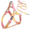 AIITLE No Pull Small Dog Harness and Leash Set-Escape Proof/Quick