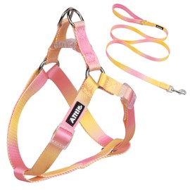 AIITLE No Pull Small Dog Harness and Leash Set-Escape Proof/Quick Fit Dog Halter Harness,Easy for Training Walking -Sturdy Buckle and Double D Ring -Puppy Harness for Small Dogs,Yellow-Pink Gradient S
