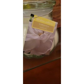 Home Interiors Gardenia 15.5 oz Candle Contempo  (New) burns up to 88 hours.