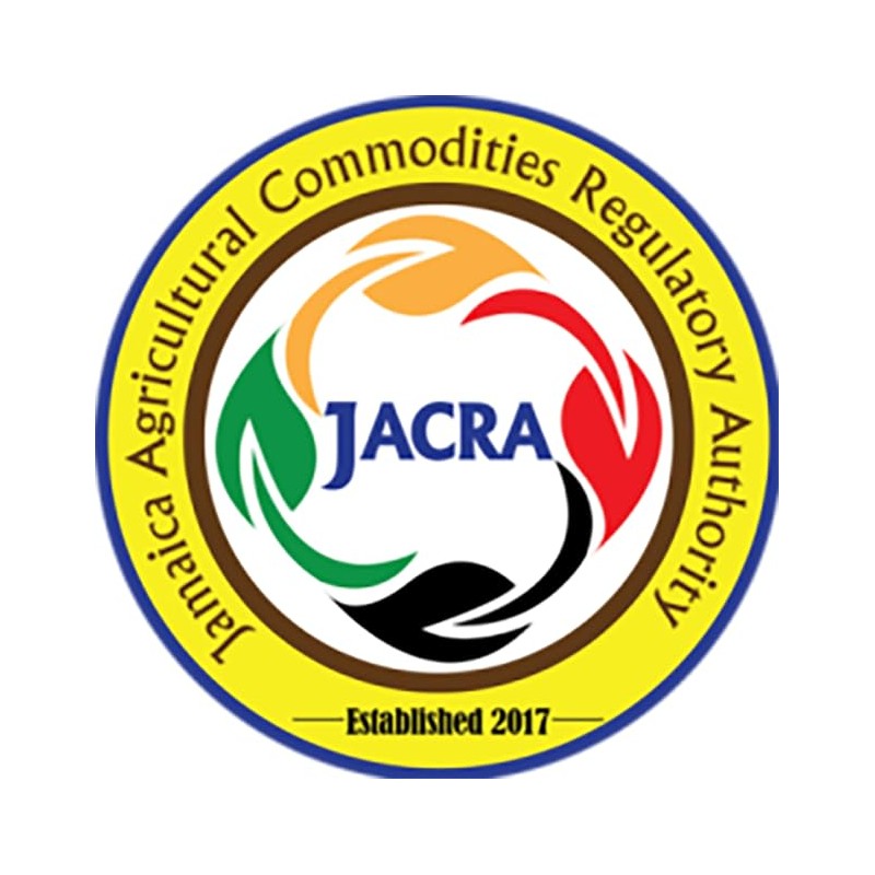 100% Jamaican Blue Mountain Italian Roast Coffee K-Cup Compatible -