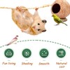 QMAAAYS Hamster House, Coconut Shell Bird House Small Pet Habitat,