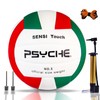 EWIEIAA balón de Voleibol， Pelota Voleibol Suave Interior y Exterior，Material