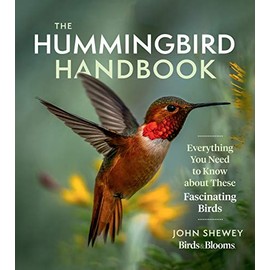 The Hummingbird Handbook: Everything You Need to Know about These Fascinating Birds
