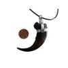 Grant Field Specimens Grizzly Bear Claw Necklace
