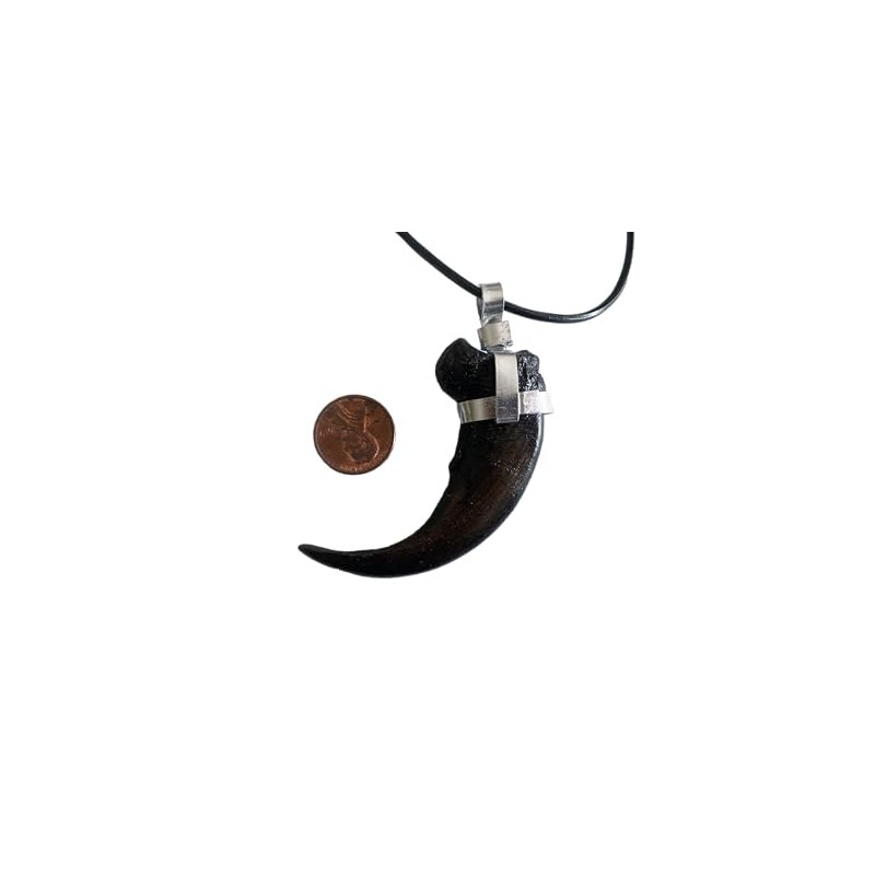 Grant Field Specimens Grizzly Bear Claw Necklace