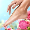 Bodycology Crema Corporal de Karité, Sweet Love, 8 oz