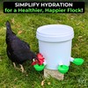 Lil'Clucker - Green Large Automatic Chicken Waterer Cups Suitable for