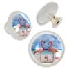 FVQL Transparent Cabinet Knobs Set of 4, Round, Clear, Drawer