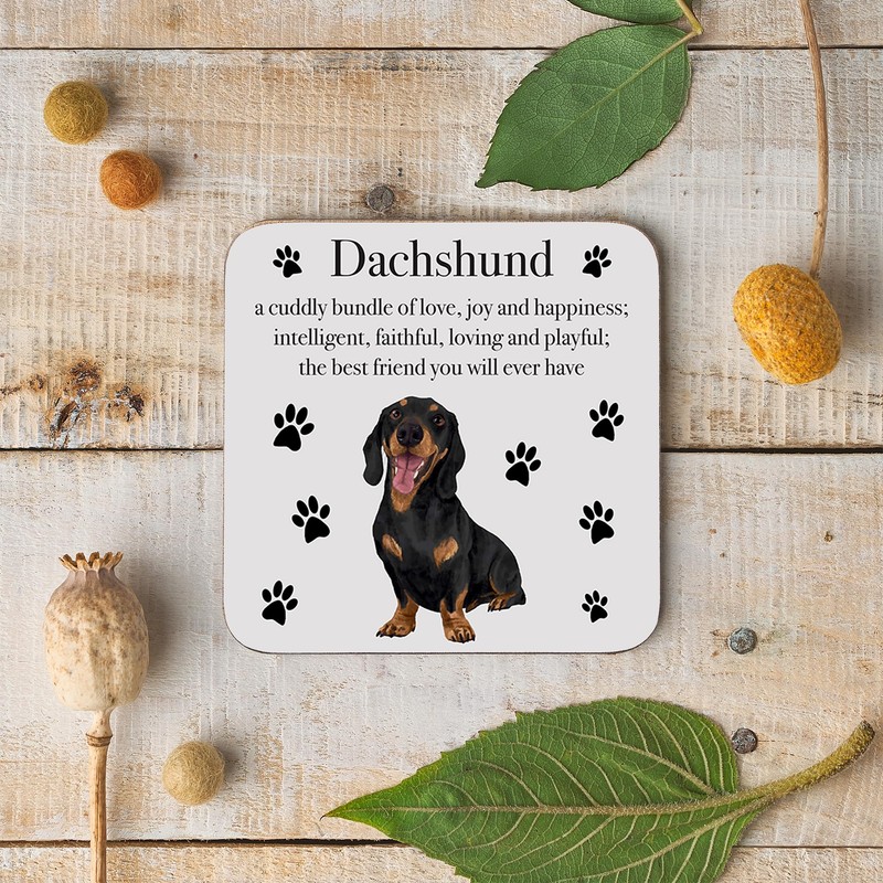 Dachshund Drinks Coaster - Dachshund Gift For Men, Women -
