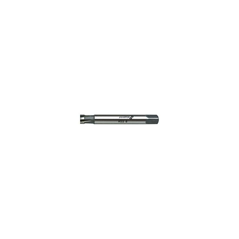 Paulimot Hand Reamer Hss Fit H7 6.0 mm