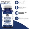 Saccharomyces Boulardii Probiotics Gut Health Supplements - Shelf Stable 10