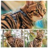 PETCUTE Cat Harness and Lead Adjustable Cat Harness and Leash