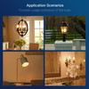 FLSNT 100W Equivalent LED Candelabra Bulbs, 800LM Dimmable B11 E12