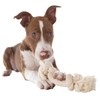 Mammoth Pet Products Dog Flossy Chews 100-Percent Cotton White Rope