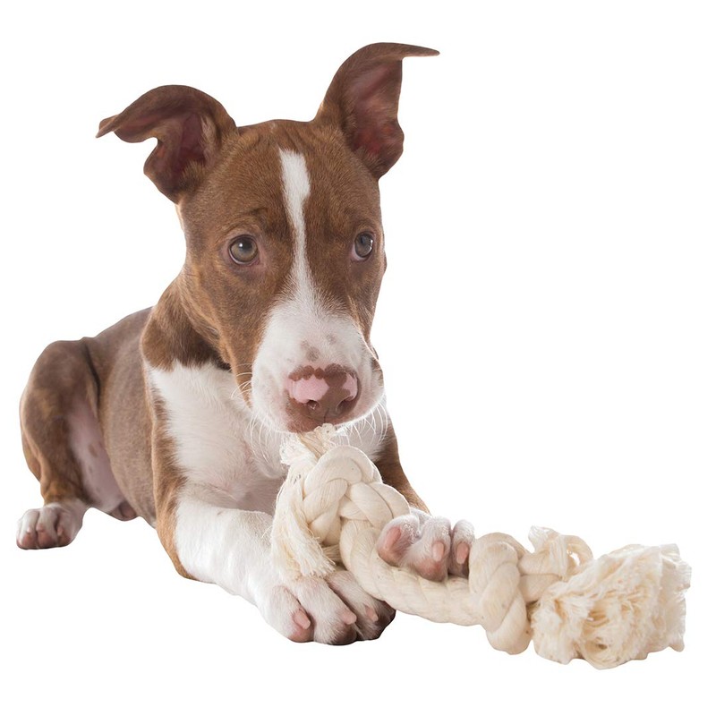 Mammoth Pet Products Dog Flossy Chews 100-Percent Cotton White Rope
