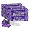Choward's Violet Mints Candy | Bold Aromatic Flavor | Perfect