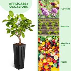 HANABASS 50Pcs 12 Inch Deep Tree Pots Flower Seedling Tall Tree Pots Planters, Plastic Deep Treepots Black Grow Bags, Reusable Tall Nursery Bags Plant Container for Garden Plants