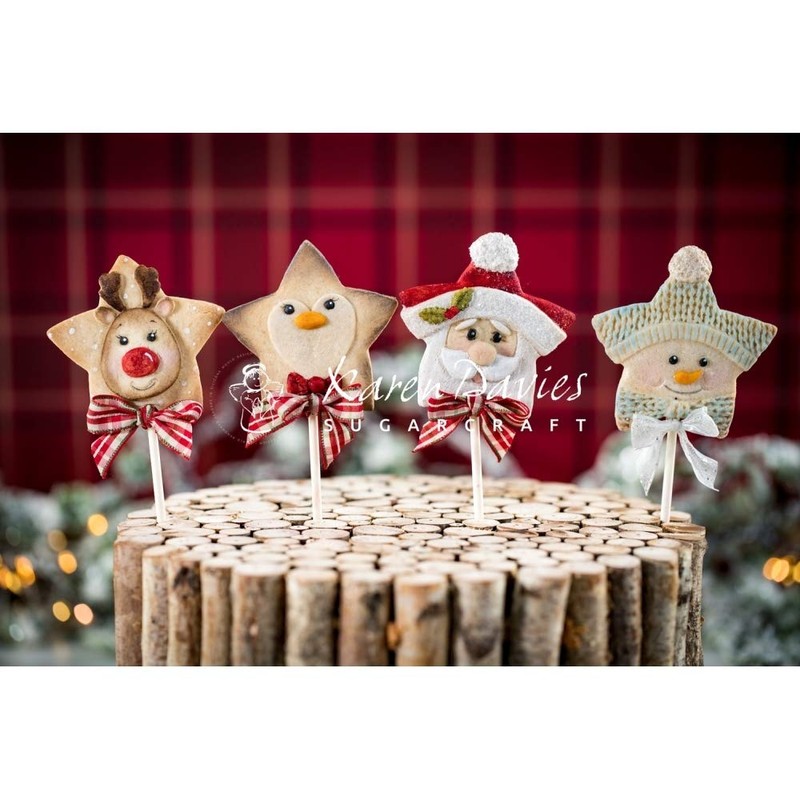 Karen Davies Star Snowman Mould