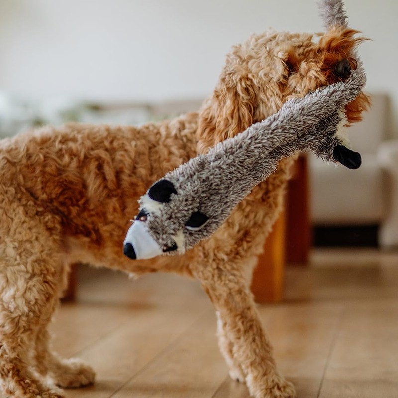 Nobby Plüsch Waschbär für Hunde, flach, 91 cm, 1 Stück