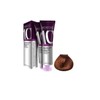 Morfose 10 Professional Hair Colour Cream 100 ml, No. 6.34