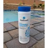 SpaGuard Spa Chlorinating Concentrate, 2 lb, Single, Advanced Spa Water