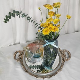 Yash YANIZU Decorative Mirror Tray, Round with Handles, Organizer for Perfume, Makeup, Jewelry, Vintage Display and Serving Tray for Dresser, Counter and Coffee Table, 15.8' x 13', Golden Silver